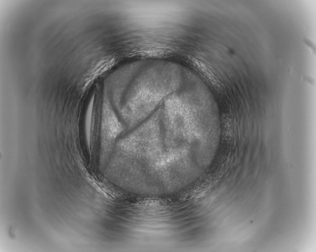 X0000094960738200712271719
