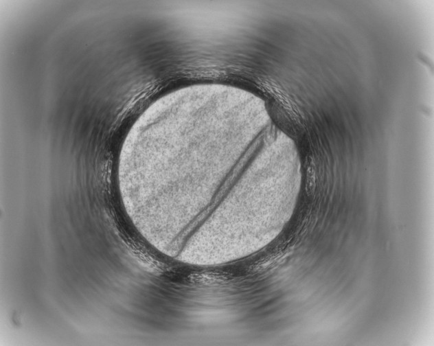 X0000094960739200712271719
