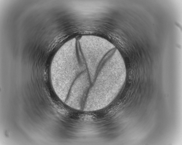 X0000094960743200712271719