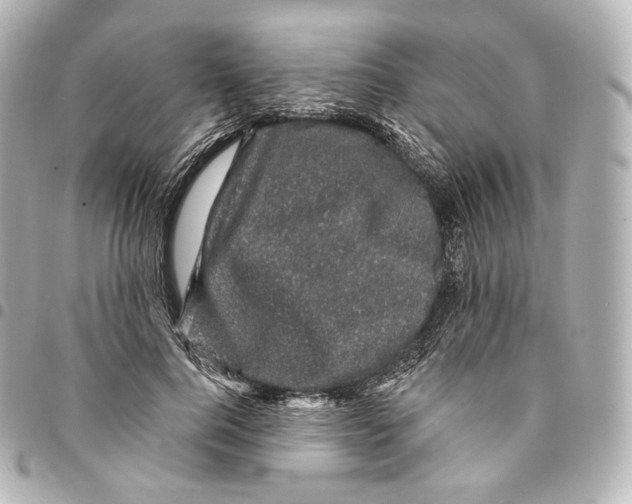 X0000094960744200712271719