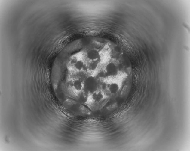 X0000094960745200712271719