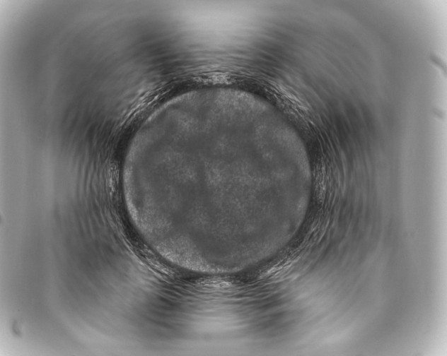 X0000094960747200712271719
