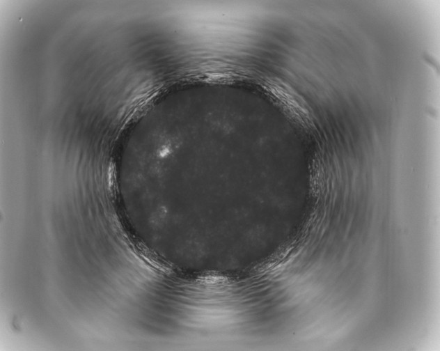 X0000094960748200712271719