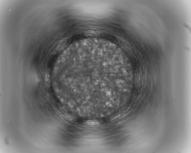 X0000094960749200712271719