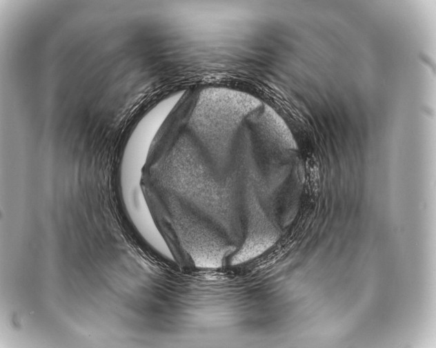 X0000094960750200712271719