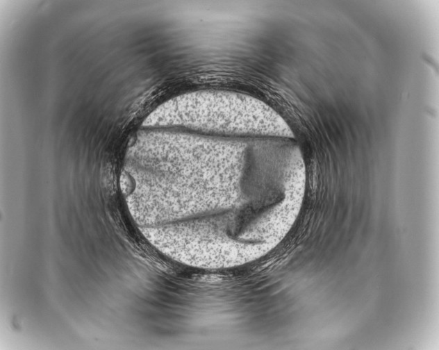 X0000094960751200712271719