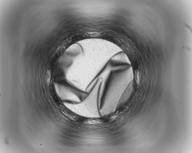 X0000094960752200712271719