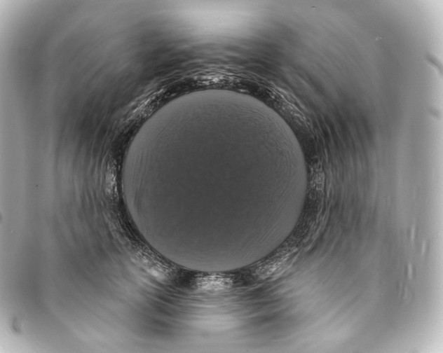 X0000094960754200712271719