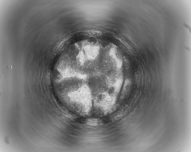 X0000094960757200712271719