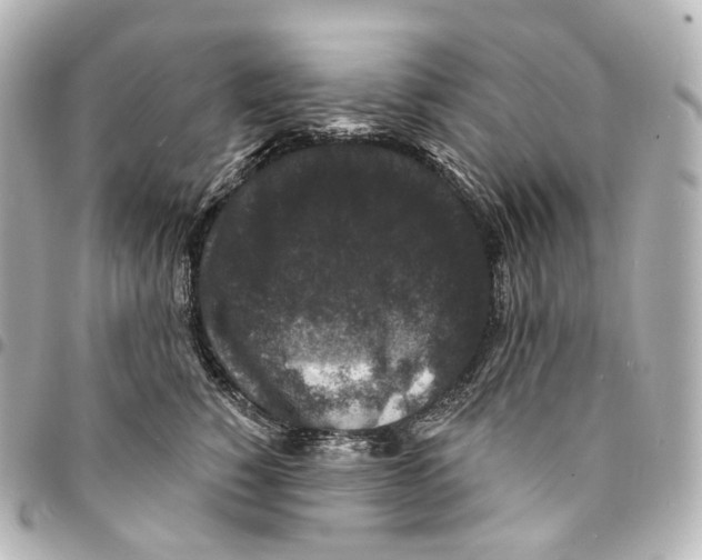 X0000094960760200712271719