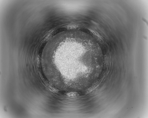 X0000094960761200712271719