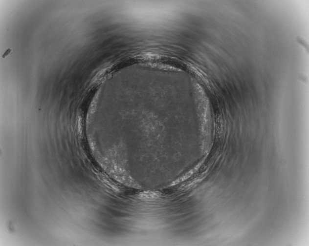 X0000094960762200712271719