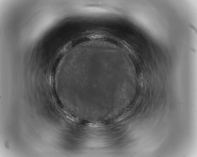 X0000094960763200712271719