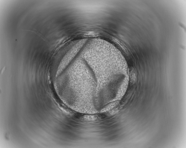 X0000094960764200712271719