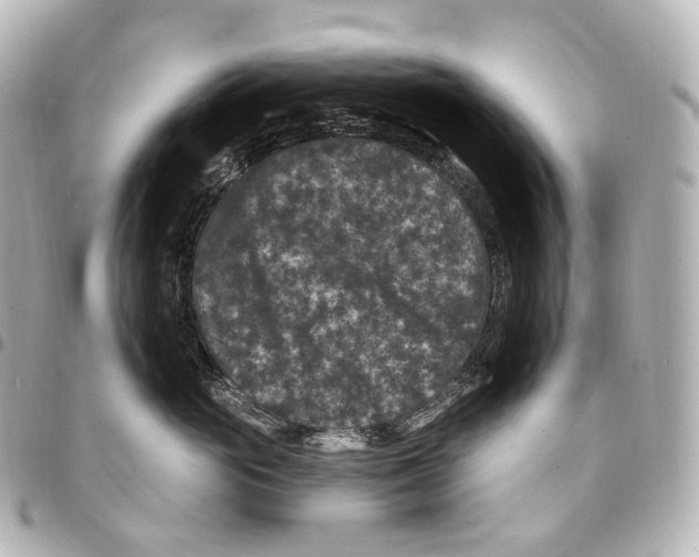 X0000094960765200712271719