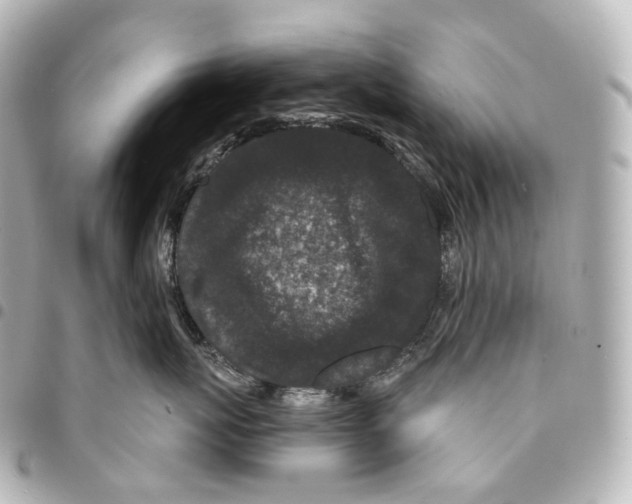 X0000094960767200712271719