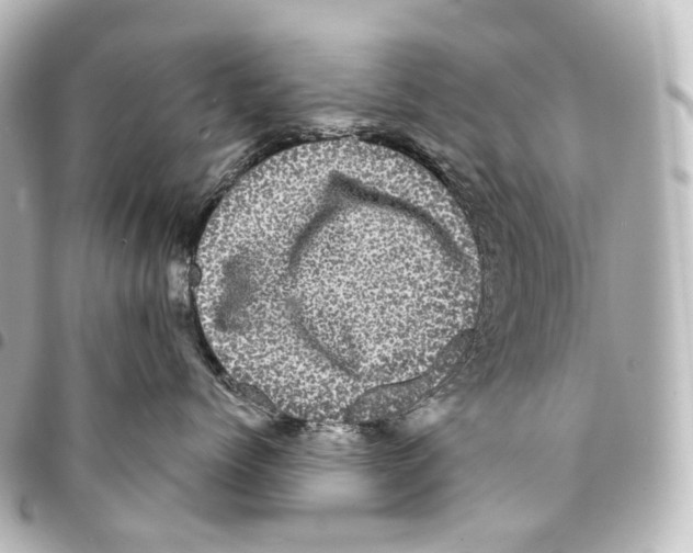 X0000094960768200712271719