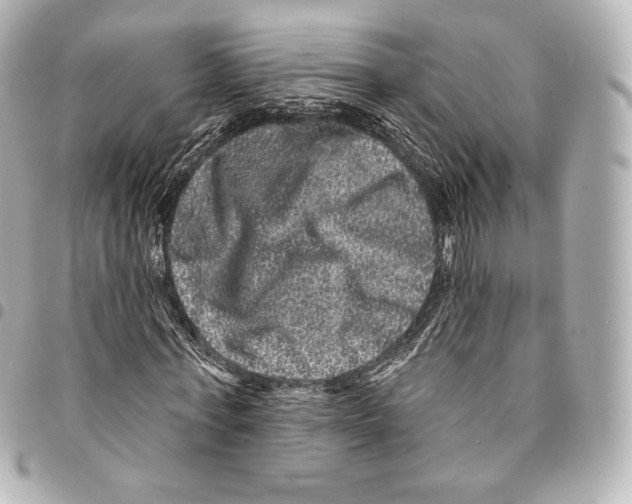 X0000094960771200712271719