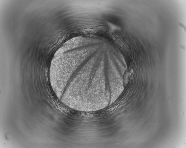 X0000094960772200712271719