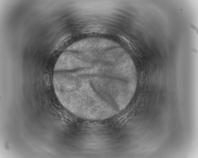 X0000094960774200712271718