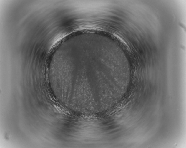 X0000094960775200712271718