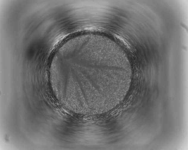 X0000094960776200712271718