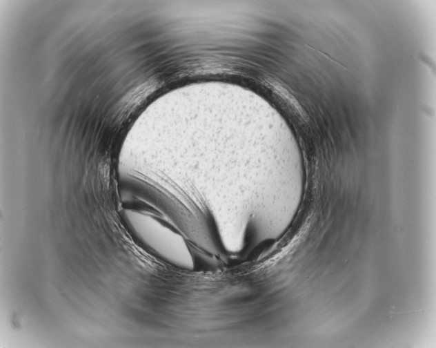 X0000094960777200712271718