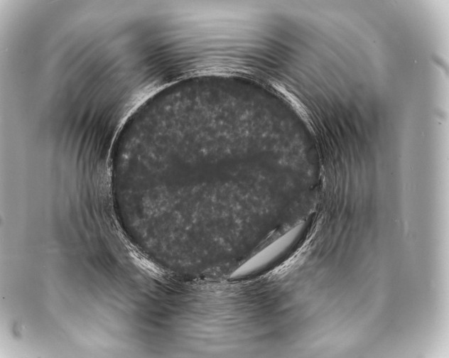 X0000094960779200712271718