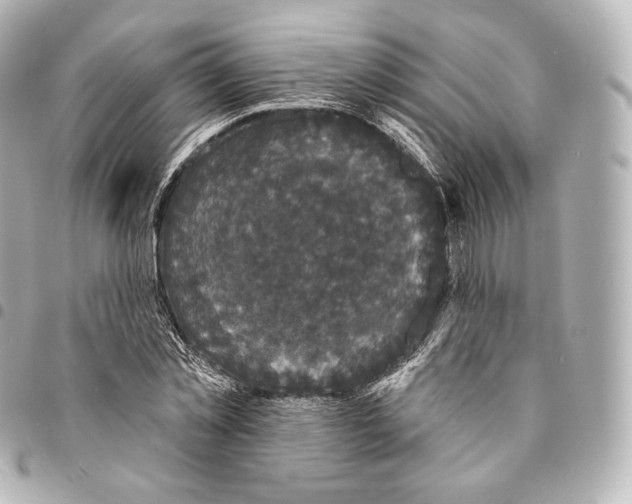 X0000094960781200712271718