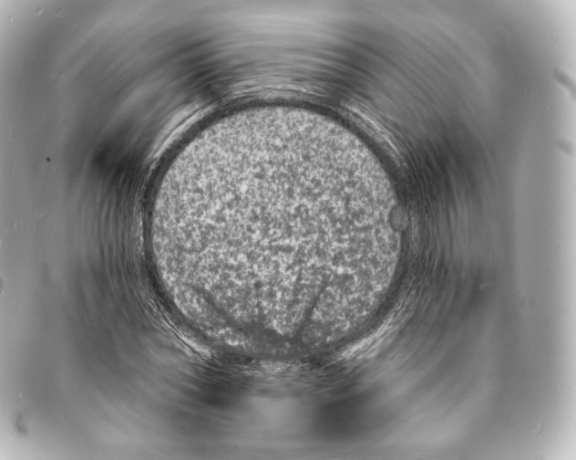 X0000094960782200712271718