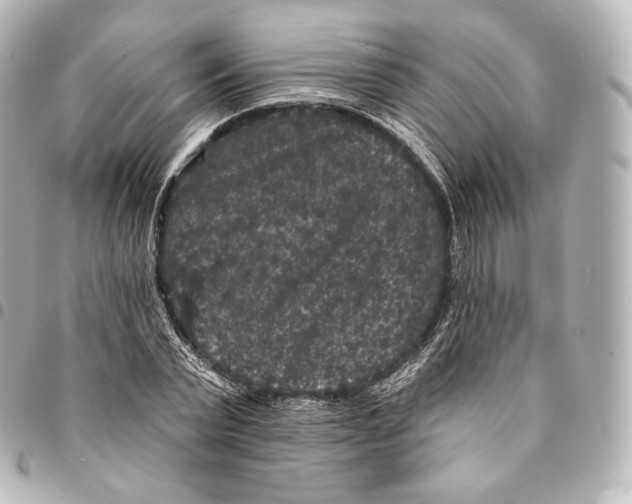 X0000094960783200712271718