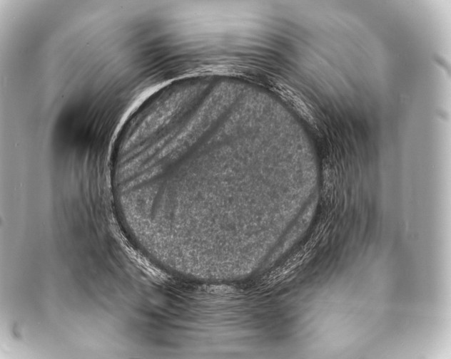 X0000094960784200712271718
