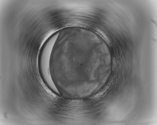 X0000094960788200712271718