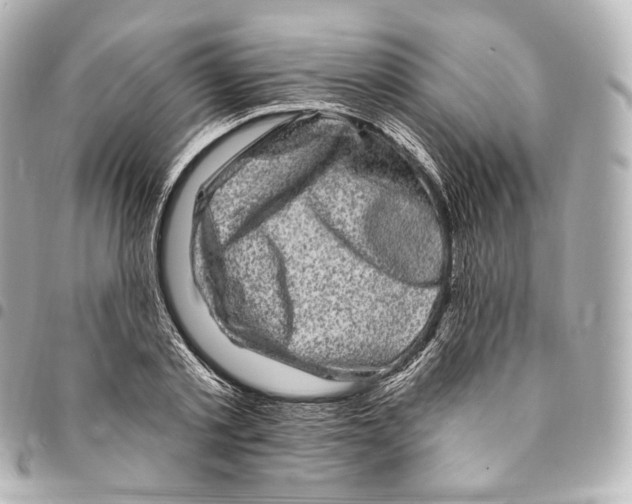 X0000094960789200712271718
