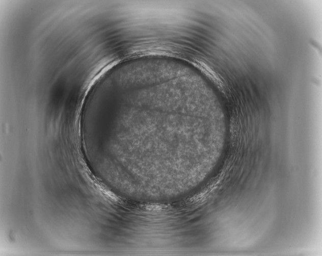 X0000094960790200712271718