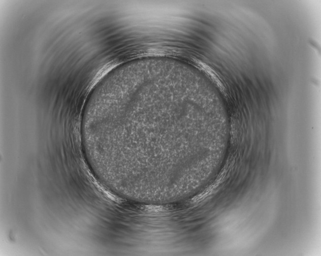 X0000094960794200712271718