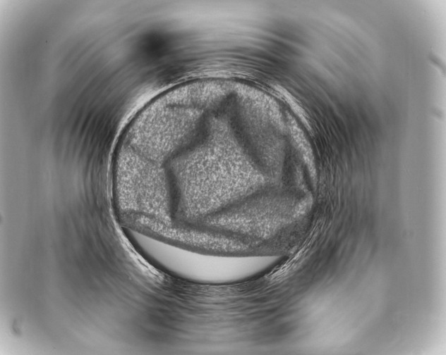X0000094960795200712271718