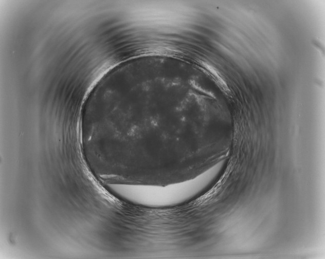 X0000094960796200712271718