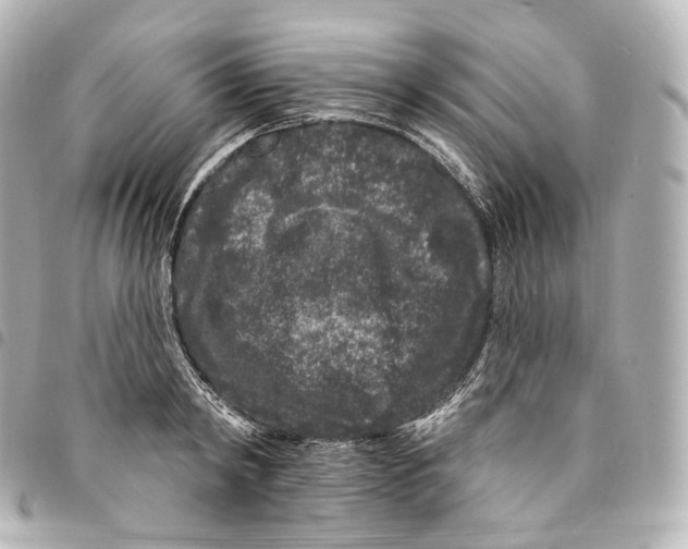 X0000094960798200712271718