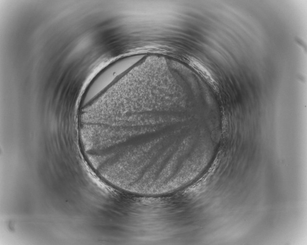 X0000094960800200712271718