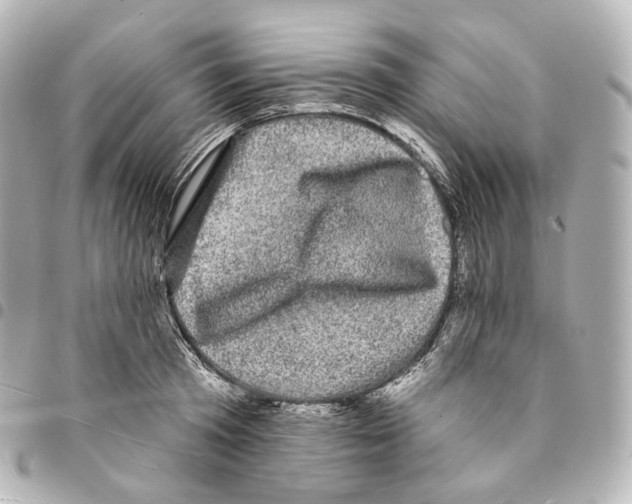 X0000094960801200712271718