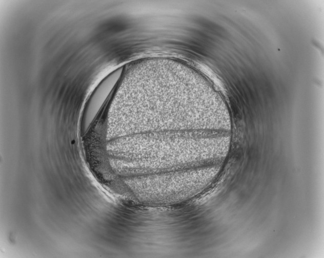 X0000094960803200712271718