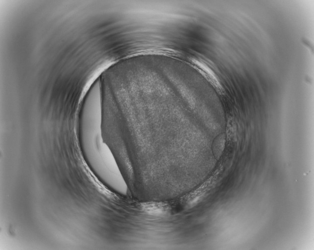 X0000094960804200712271718