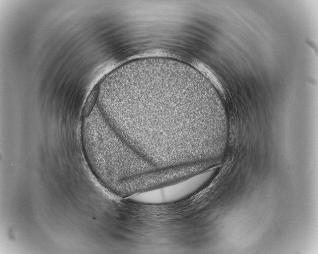 X0000094960805200712271718