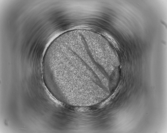 X0000094960808200712271718