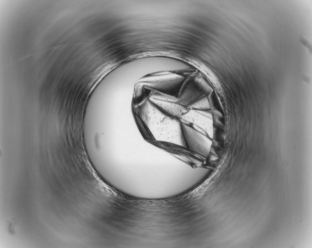 X0000094960809200712271718