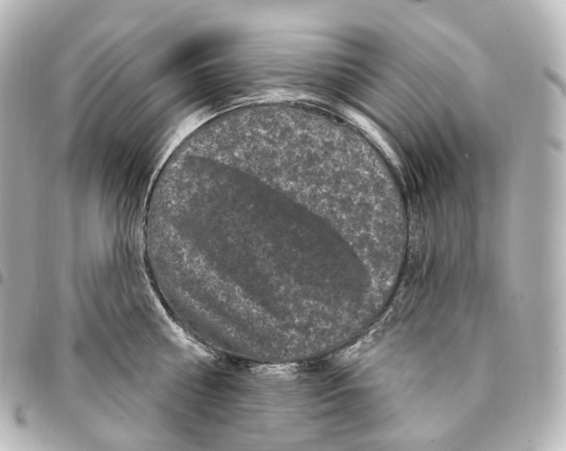 X0000094960810200712271718