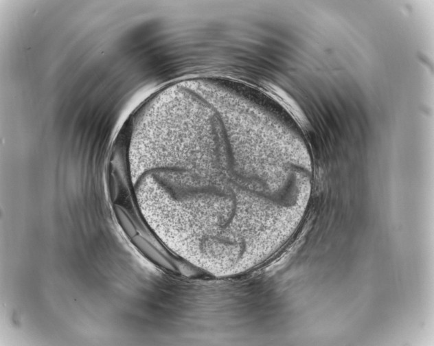 X0000094960812200712271718