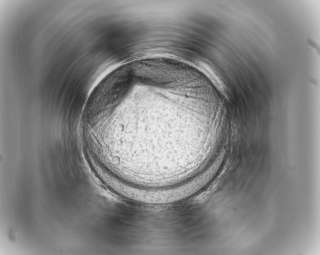 X0000094960814200712271718