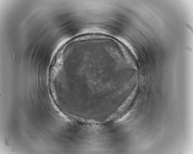X0000094960815200712271718